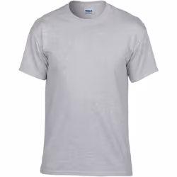 Gildan - T-shirt - Homme (Gris)