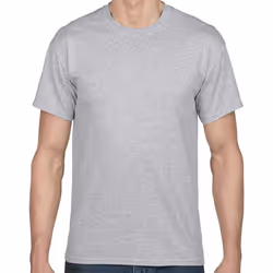 Gildan - T-shirt - Adulte (Gris)