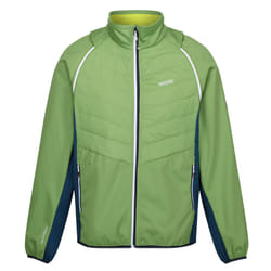 Regatta - Veste hybride STEREN - Homme (Vert piquant / Bleu marocain / Jaune verdâtre)