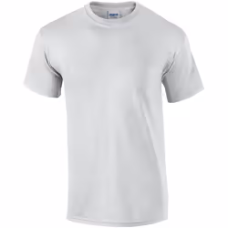 Gildan - T-shirt - Adulte (Cendre)