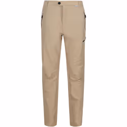 Regatta - Pantalon de randonnée HIGHTON - Homme (Avoine)
