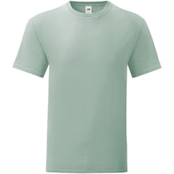 Fruit of the Loom - T-shirt ICONIC - Homme (Vert de gris)