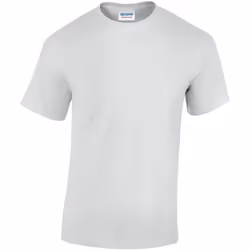 Gildan - T-shirt - Adulte (Blanc)
