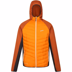 Regatta - Veste hybride ANDRESON - Homme (Orange / Orange brûlé)