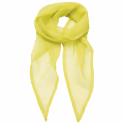 Premier - Écharpe COLOURS - Adulte (Vert clair)