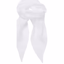 Premier - Écharpe COLOURS - Adulte (Blanc)