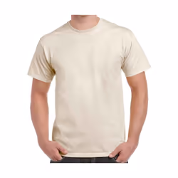Gildan - T-Shirt manches courtes - Homme (Beige pâle) - L