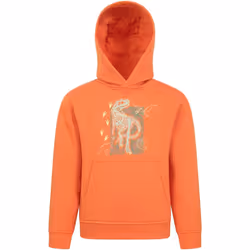 Mountain Warehouse - Sweat à capuche - Enfant (Orange)