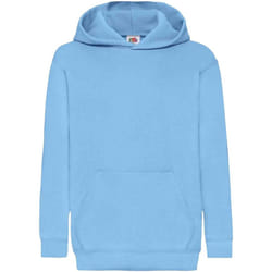 Fruit Of The Loom - Sweatshirt à capuche - Enfant (Bleu ciel)