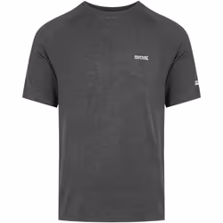 Regatta - T-shirt AMBULO - Homme (Cendre)
