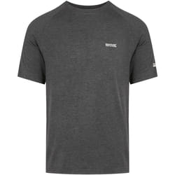 Regatta - T-shirt AMBULO - Homme (Cendre)