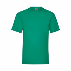 Fruit of the Loom - T-shirt VALUEWEIGHT - Homme (Vert Kelly)