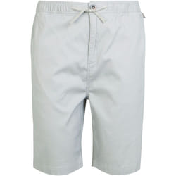 Regatta - Short ALDAN - Homme (Gris argenté)