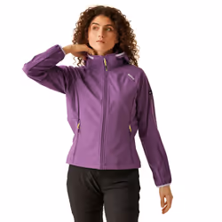 Regatta - Veste softshell BOURDA - Femme (Violet coucher de soleil / Lilas pâle)