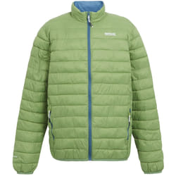 Regatta - Veste isolée HILLPACK - Homme (Vert piquant)