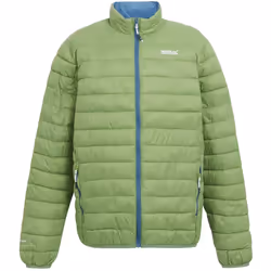 Regatta - Veste isolée HILLPACK - Homme (Vert piquant)