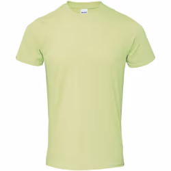 Gildan - T-shirt SOFTSTYLE - Homme (Vert pistache)