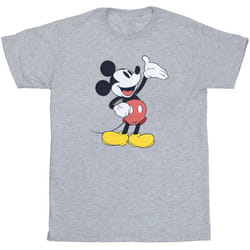 Disney - T-shirt REVEAL - Adulte (Gris)