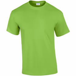 Gildan - T-shirt - Homme (Vert clair)