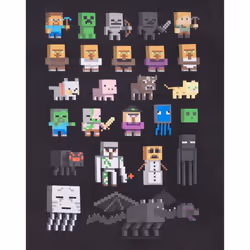 Minecraft - T-shirt manches courtes - Garçon (Noir / Orange)