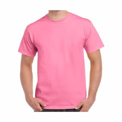 Gildan - T-Shirt manches courtes - Homme (Violet fuchsia)