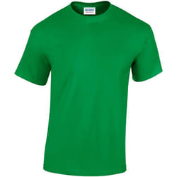 Gildan - T-Shirt manches courtes - Homme (Vert)