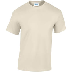 Gildan - T-Shirt manches courtes - Homme (Beige clair)