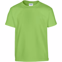Gildan - T-shirt - Enfant (Vert clair)