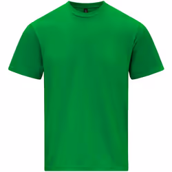 Gildan - T-shirt SOFTSTYLE - Adulte (Vert vif)