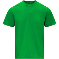 Gildan - T-shirt SOFTSTYLE - Adulte (Vert vif)