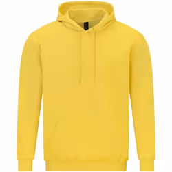Gildan - Sweat à capuche SOFTSTYLE - Adulte (Marguerite)