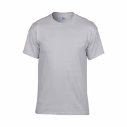 Gildan - T-shirt - Homme (Gris)