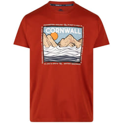 Trespass - T-shirt VELLAY - Homme (Rouge sang)