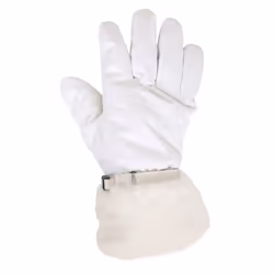 Mountain Warehouse - Gants de ski PARALLAX - Femme (Blanc)