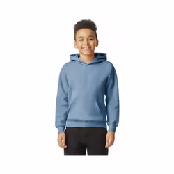 Gildan - Sweat à capuche SOFTSTYLE - Enfant (Bleu de gris)
