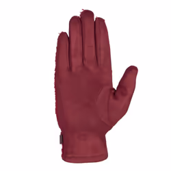 Trespass - Gants d'hiver PISA - Femme (Mûre)