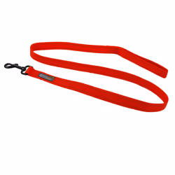 Regatta - Laisse pour chiens - Taille unique (Rouge)