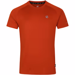 Dare 2B - T-shirt PERSIST - Homme (Cannelle)