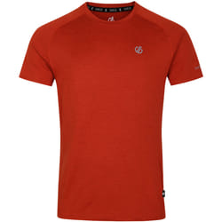 Dare 2B - T-shirt PERSIST - Homme (Cannelle)