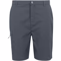 Regatta - Short DALRY - Homme (Gris phoque)