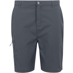 Regatta - Short DALRY - Homme (Gris phoque)