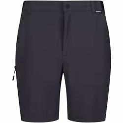 Regatta - Short TRAVEL LIGHT - Homme (Cendre)