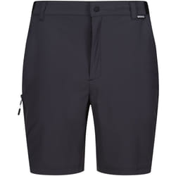 Regatta - Short TRAVEL LIGHT - Homme (Cendre)