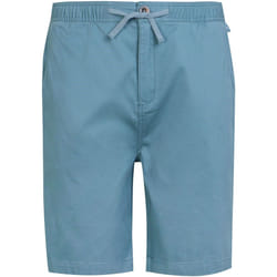 Regatta - Short ALDAN - Homme (Bleu de gris)