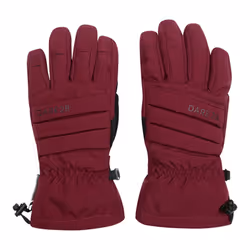 Dare 2B - Gants de ski CHARISMA - Femme (Figue)