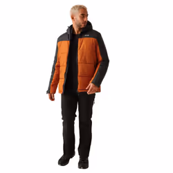 Regatta - Veste matelassée NEVADO - Homme (Orange brûlé / Cendre)