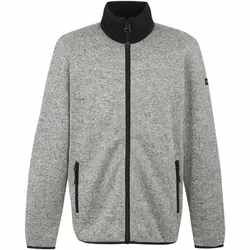 Regatta - Veste polaire BRANLEIGH - Homme (Blanc lunaire)