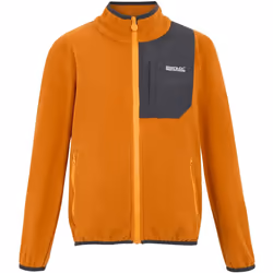 Regatta - Veste polaire FRANKIE - Enfant (Orange sombre)