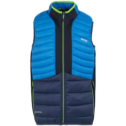 Regatta - Veste sans manches LEEDRE - Homme (Bleu olympien / Bleu marine)