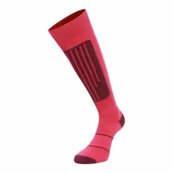 Dare 2B - Chaussettes de ski TECHNICAL - Femme (Rose baie / Figue)